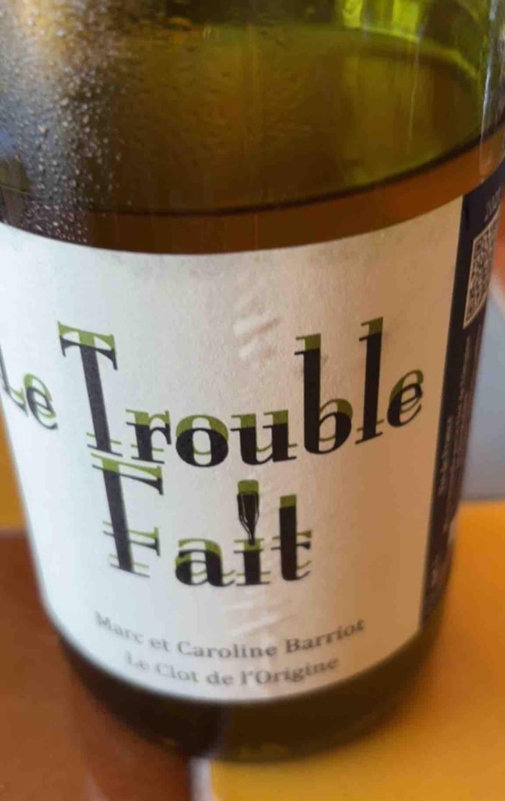 Le Trouble Fait - Clot de l'Origine - Marc & Caroline Barriot 