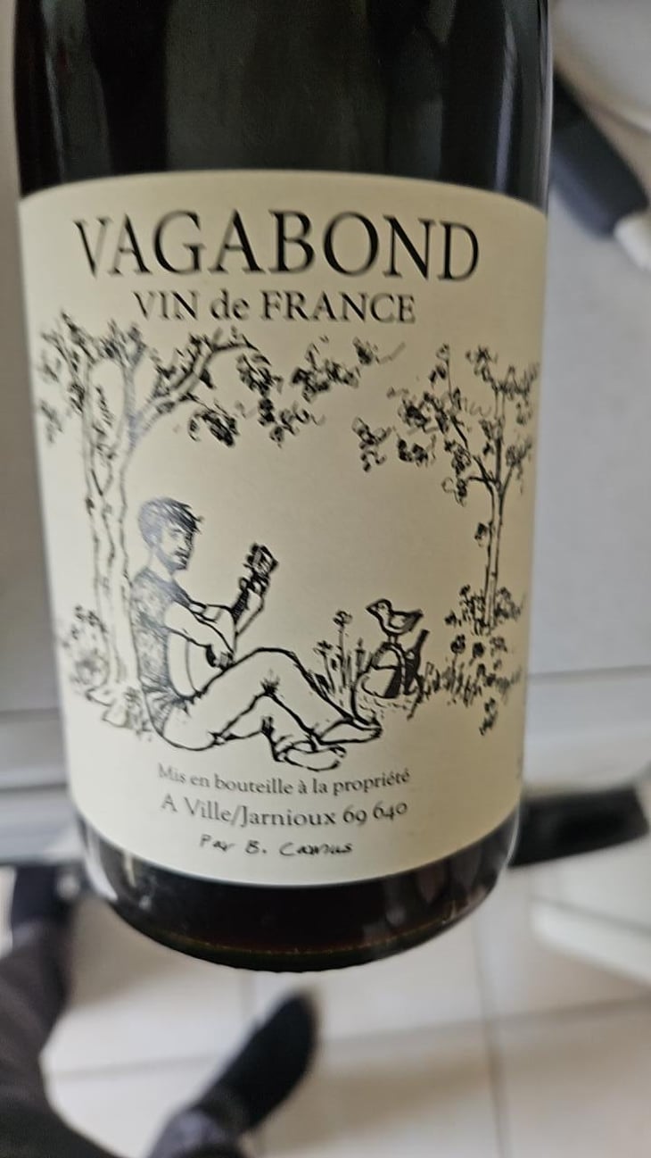 Le Vagabond - Benoit Camus - Benoit Camus 