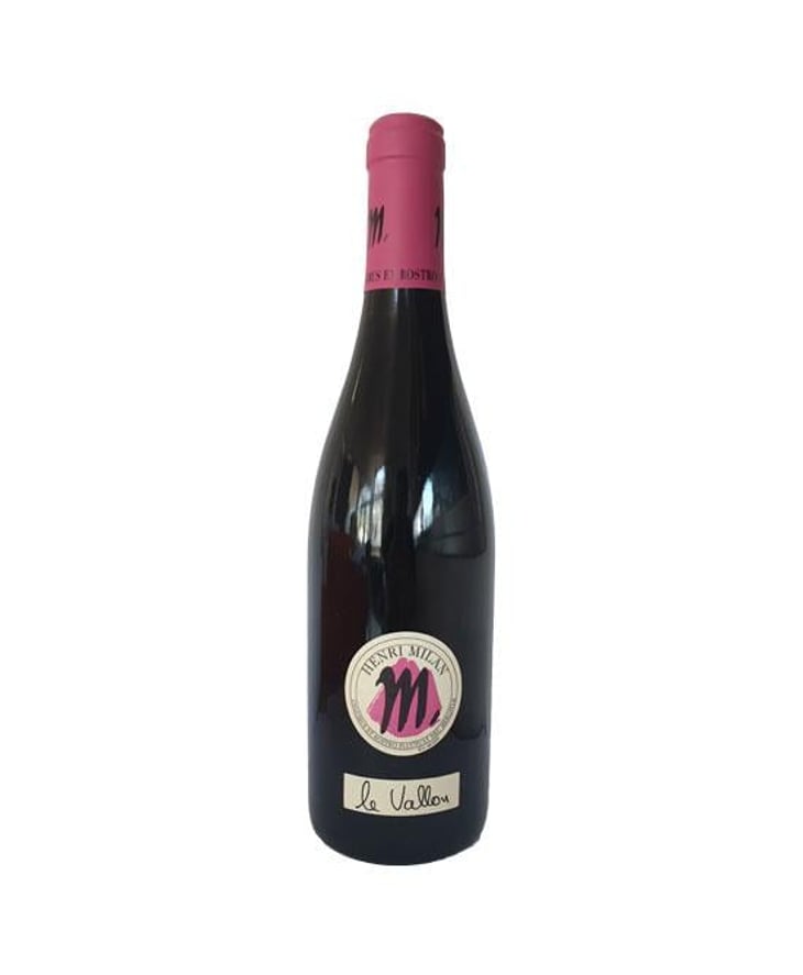 Le Vallon - Domaine Milan - Emma, Théophile & Henri Milan 