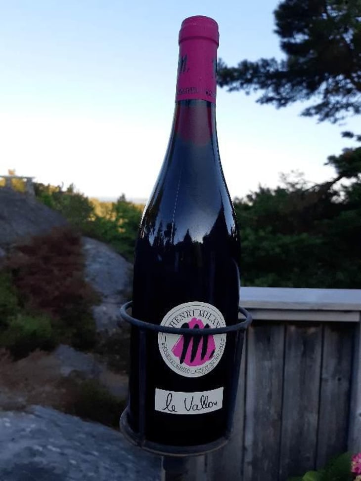 Le Vallon - Domaine Milan - Emma, Théophile & Henri Milan 
