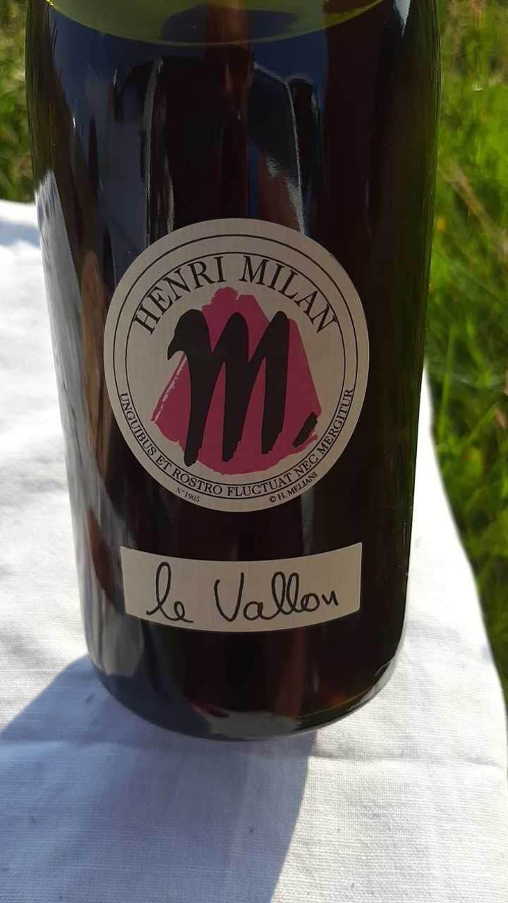 Le Vallon - Domaine Milan - Emma, Théophile & Henri Milan 