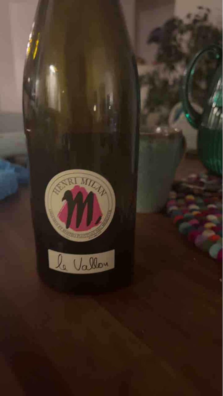 Le Vallon - Domaine Milan - Emma, Théophile & Henri Milan 
