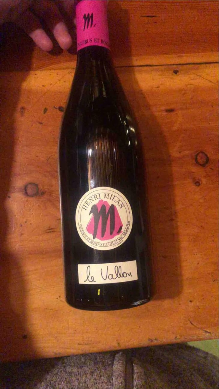 Le Vallon - Domaine Milan - Emma, Théophile & Henri Milan 