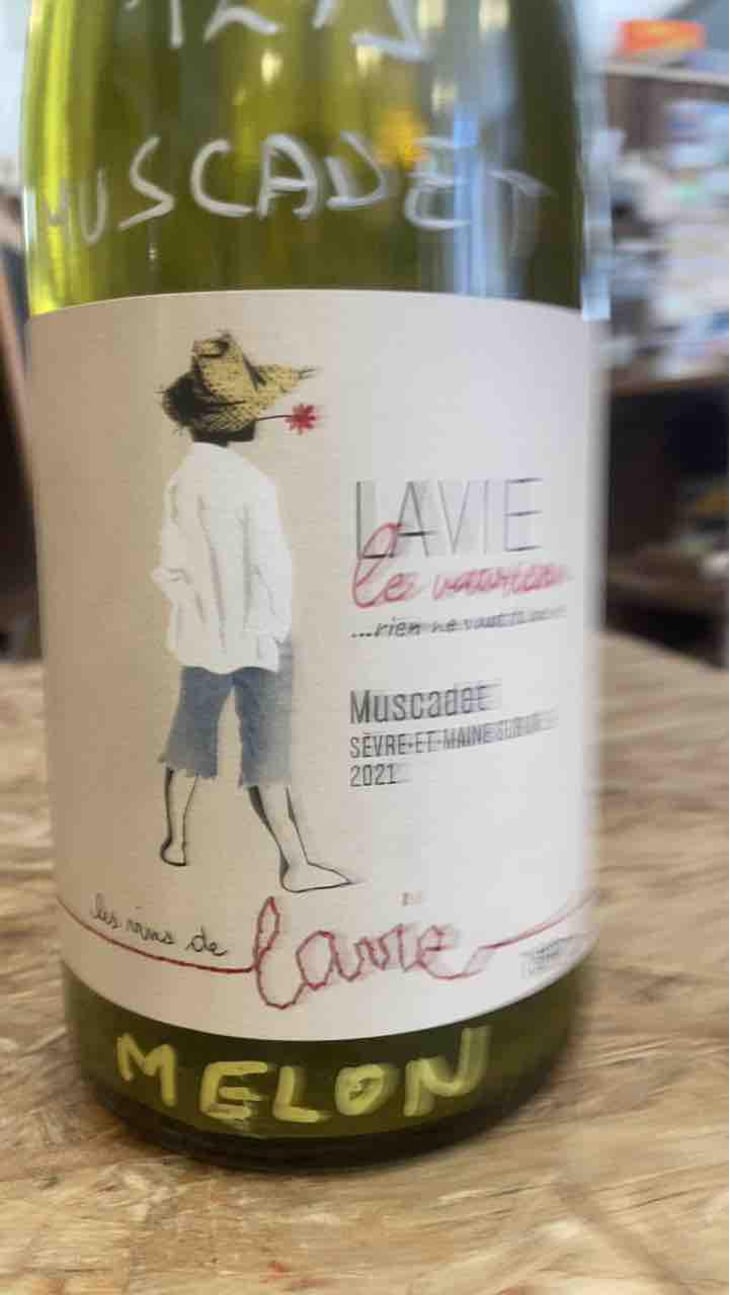 Le Vaurien - Les Vins de Lavie (Muscadet - from 2021) - Guillaume Lavie (Muscadet - from 2021) 