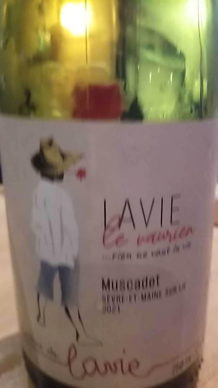 Le Vaurien - Les Vins de Lavie (Muscadet - from 2021) - Guillaume Lavie (Muscadet - from 2021) 