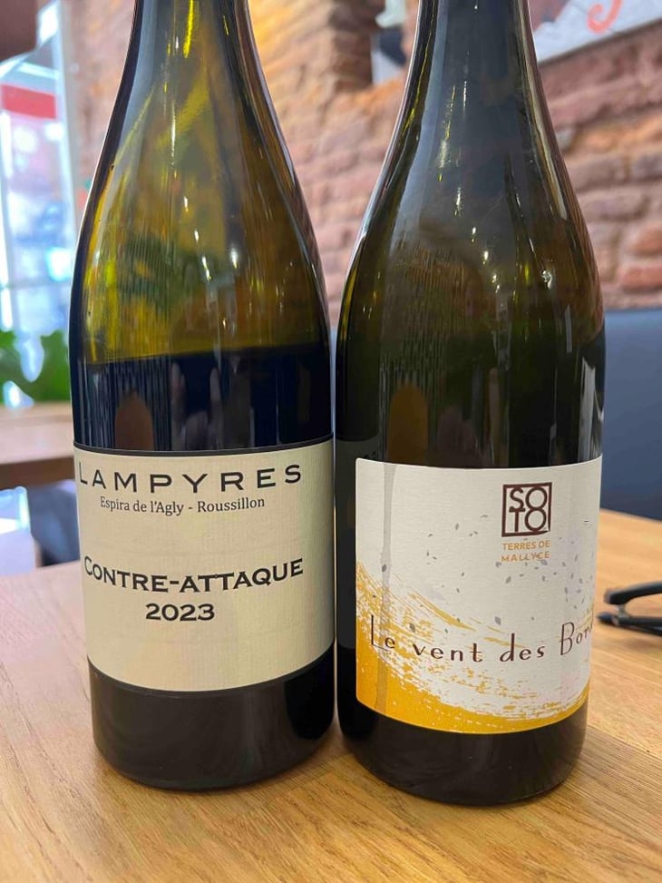 Le vent des Bordes - Domaine Les Terres De Mallyce - Corinne & Yves Soto 