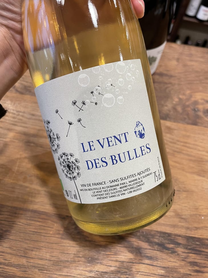 Le vent des bulles - Le Vent Des Jours - Laurent Marre 
