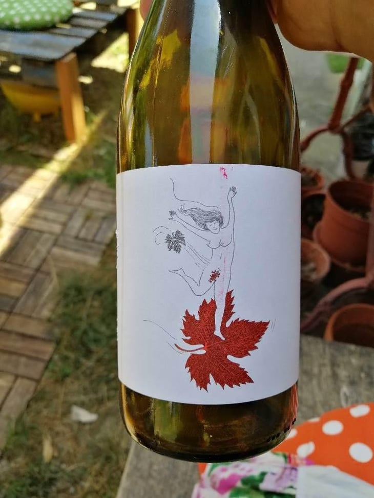 Le Vent Se Lève (Blanc) - Domaine Eole - Hervé Bessiere 