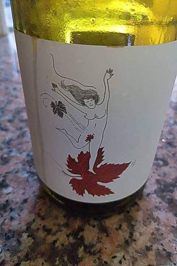 Le Vent Se Lève (Rosé) - Domaine Eole - Hervé Bessiere 