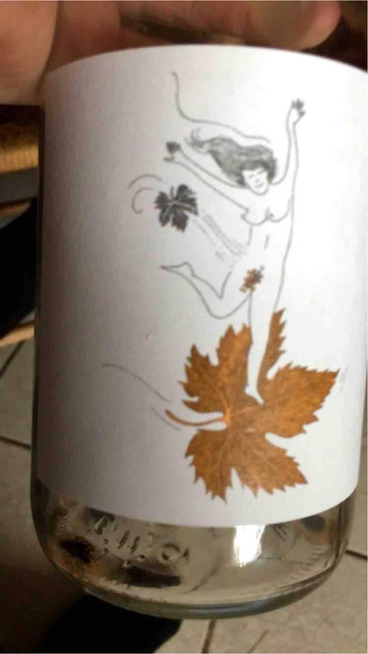 Le Vent Se Lève (Rouge) - Domaine Eole - Hervé Bessiere 