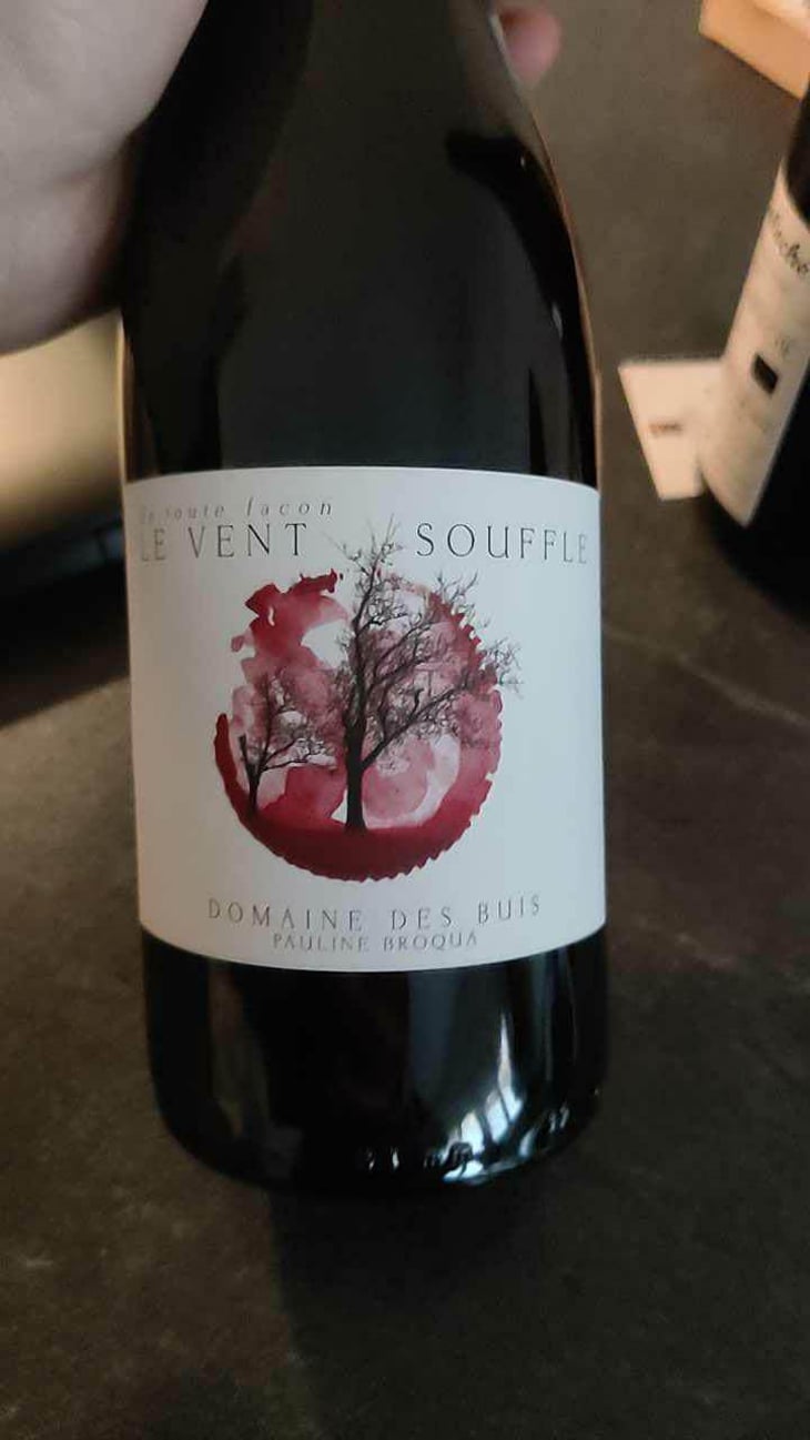 Le Vent Souffle - Domaine des Buis - Pauline Broqua 