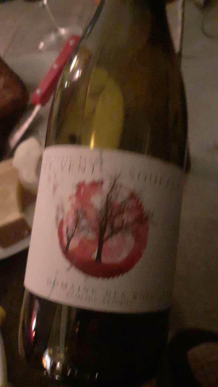 Le Vent Souffle - Domaine des Buis - Pauline Broqua 