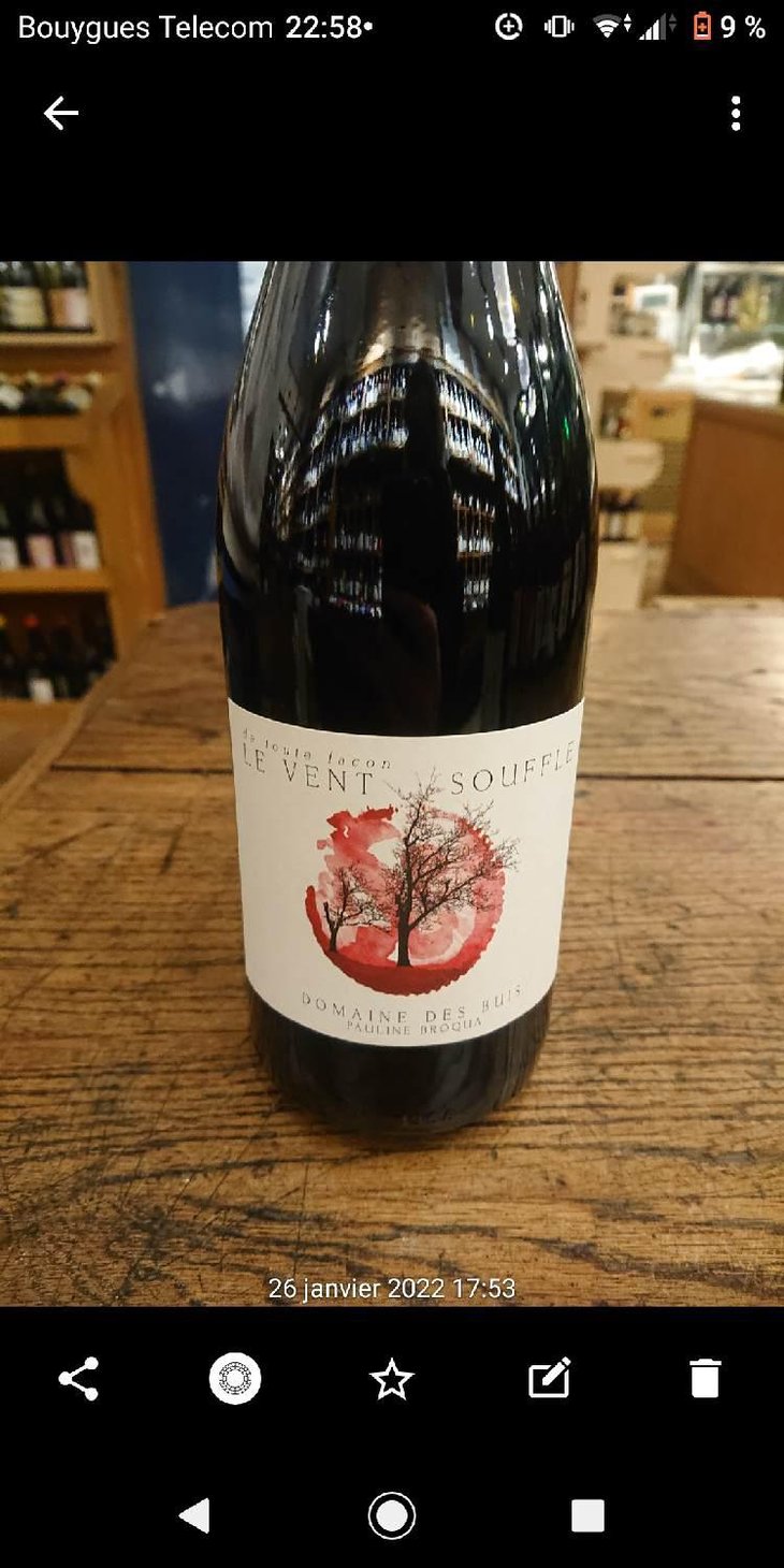 Le Vent Souffle - Domaine des Buis - Pauline Broqua 