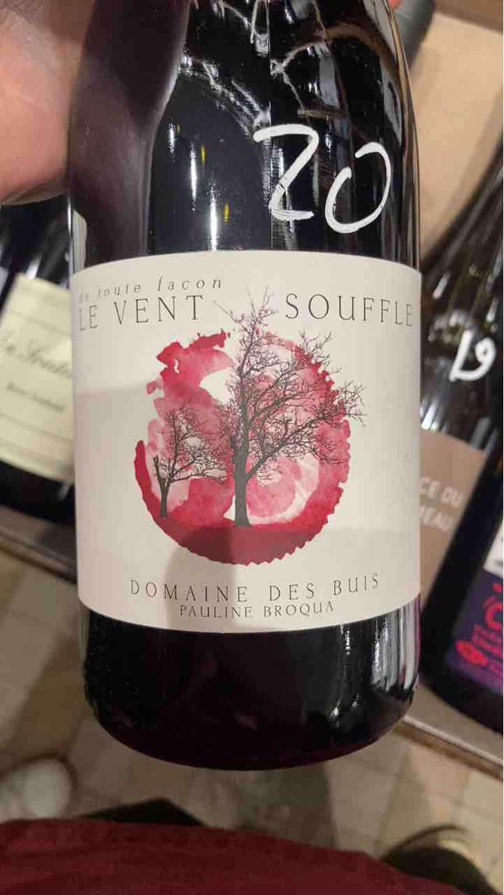 Le Vent Souffle - Domaine des Buis - Pauline Broqua 