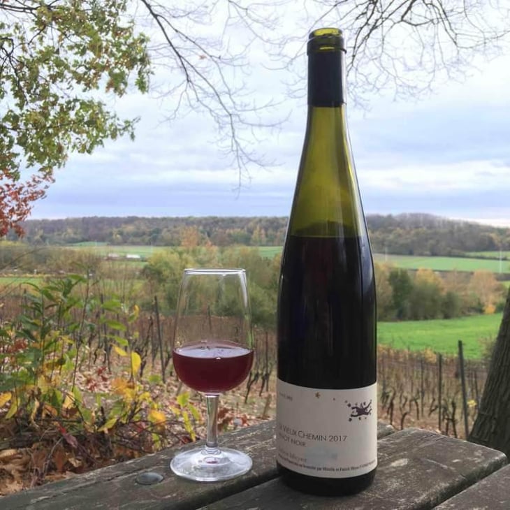 Le Vieux Chemin - Domaine Julien Meyer - Patrick Meyer 
