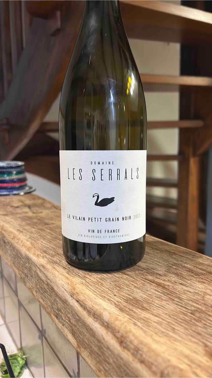Le Vilain Petit Grain Noir - Les Serrals - Chloé Barthet & Frédéric Almazor 
