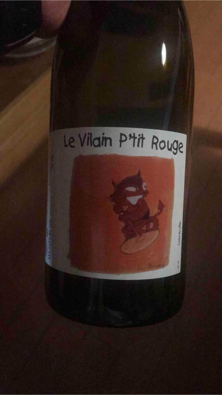 Le Vilain Petit Rouge - Domaine Vincent Ricard - Vincent Ricard 