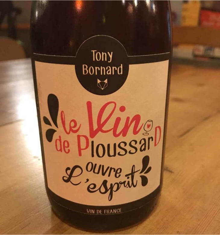 Le Vin de PloussarD ouvre L'esprit - Domaine Bornard - Tony Bornard 
