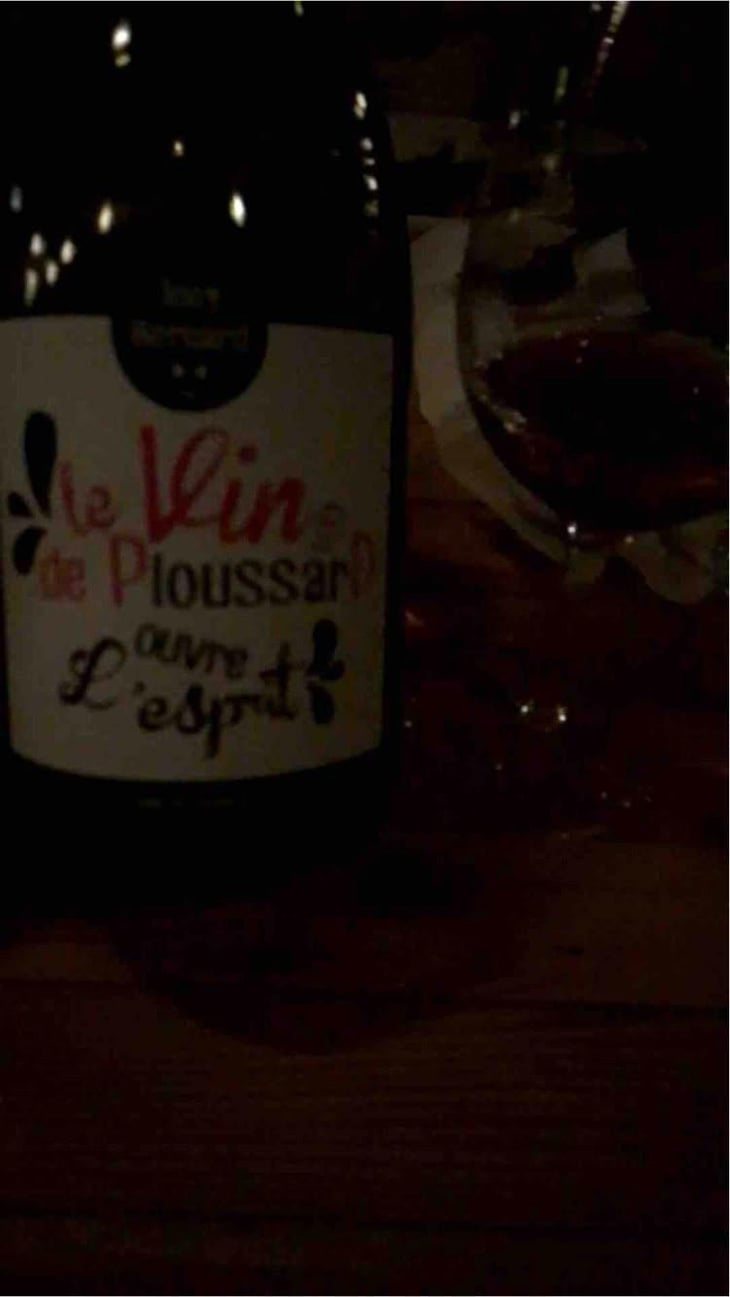 Le Vin de PloussarD ouvre L'esprit - Domaine Bornard - Tony Bornard 