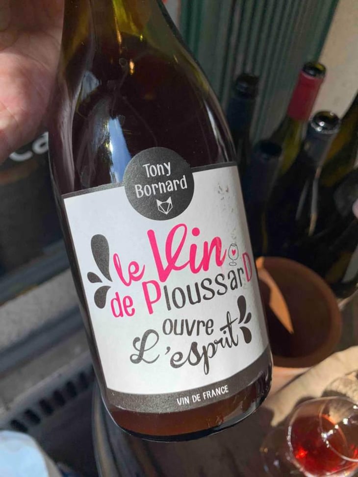 Le Vin de PloussarD ouvre L'esprit - Domaine Bornard - Tony Bornard 