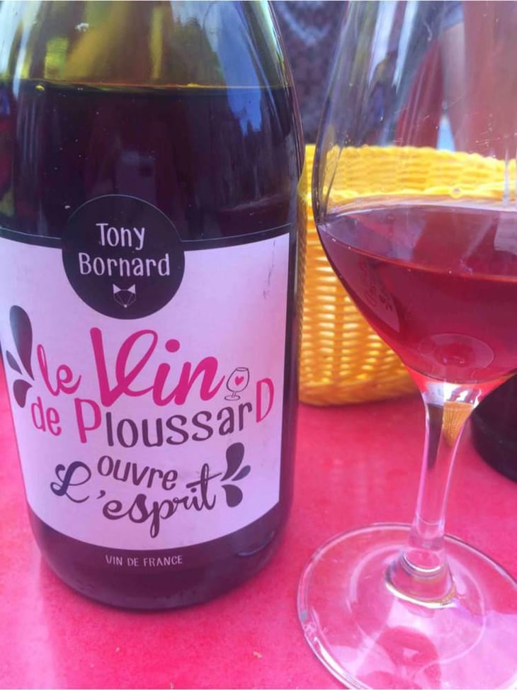 Le Vin de PloussarD ouvre L'esprit - Domaine Bornard - Tony Bornard 
