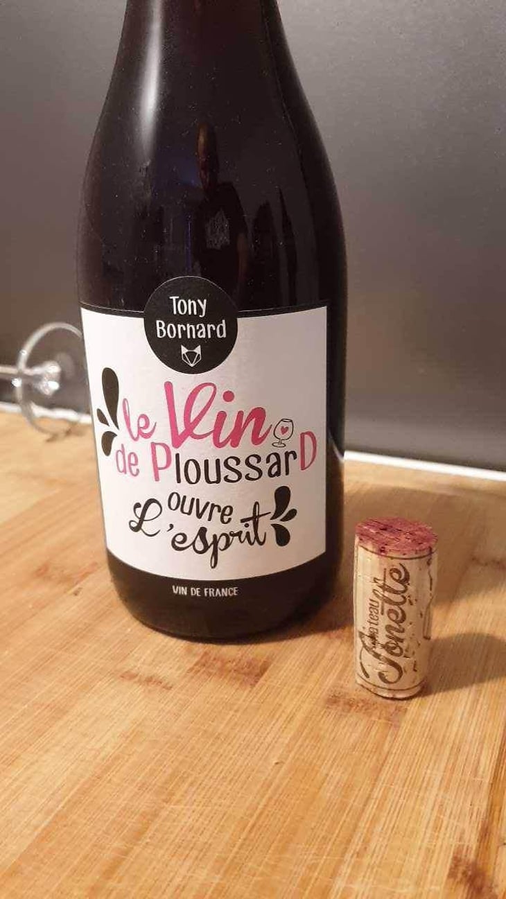 Le Vin de PloussarD ouvre L'esprit - Domaine Bornard - Tony Bornard 