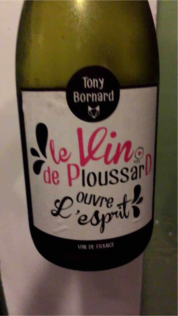 Le Vin de PloussarD ouvre L'esprit - Domaine Bornard - Tony Bornard 