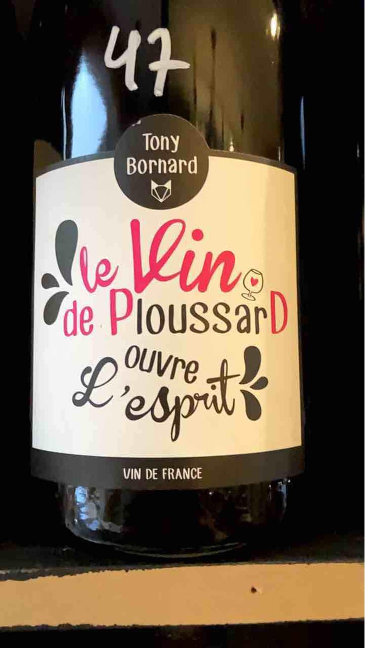 Le Vin de PloussarD ouvre L'esprit - Domaine Bornard - Tony Bornard 