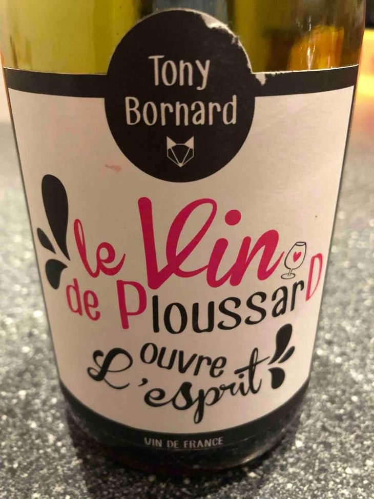 Le Vin de PloussarD ouvre L'esprit - Domaine Bornard - Tony Bornard 