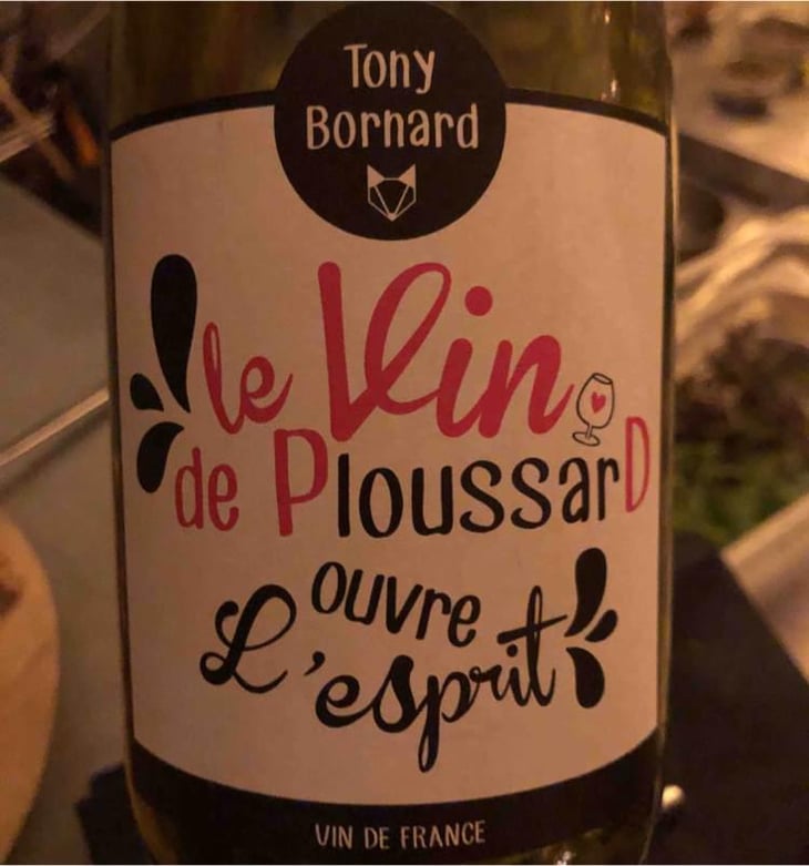 Le Vin de PloussarD ouvre L'esprit - Domaine Bornard - Tony Bornard 