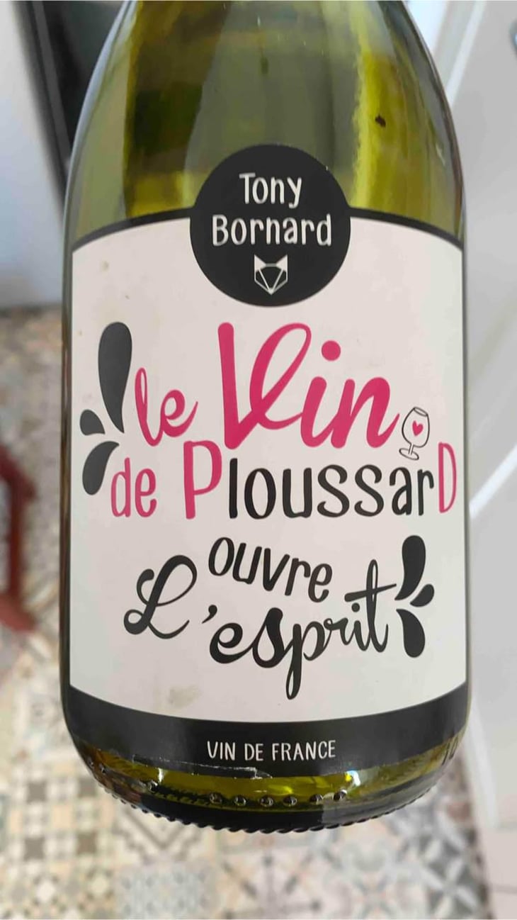Le Vin de PloussarD ouvre L'esprit - Domaine Bornard - Tony Bornard 