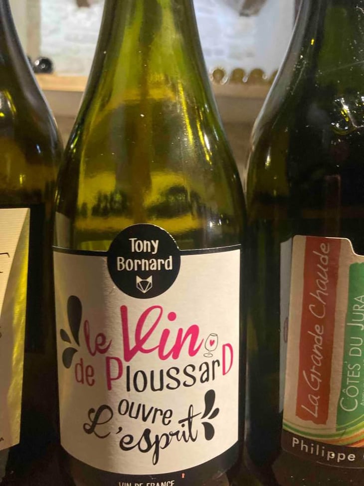 Le Vin de PloussarD ouvre L'esprit - Domaine Bornard - Tony Bornard 