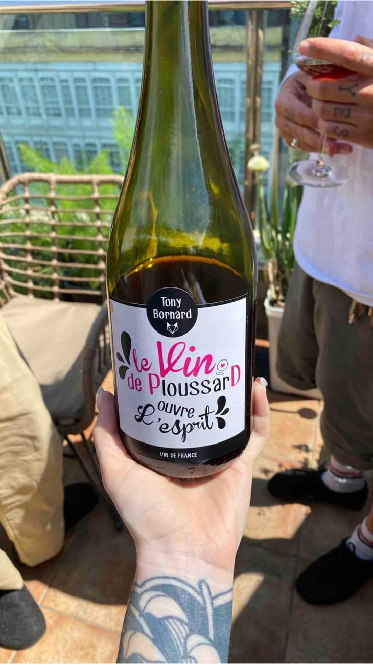 Le Vin de PloussarD ouvre L'esprit - Domaine Bornard - Tony Bornard 