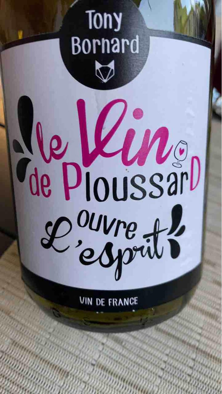 Le Vin de PloussarD ouvre L'esprit - Domaine Bornard - Tony Bornard 