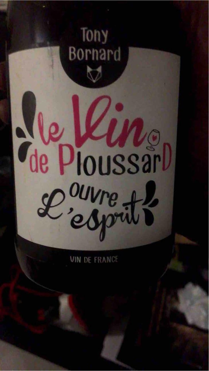 Le Vin de PloussarD ouvre L'esprit - Domaine Bornard - Tony Bornard 