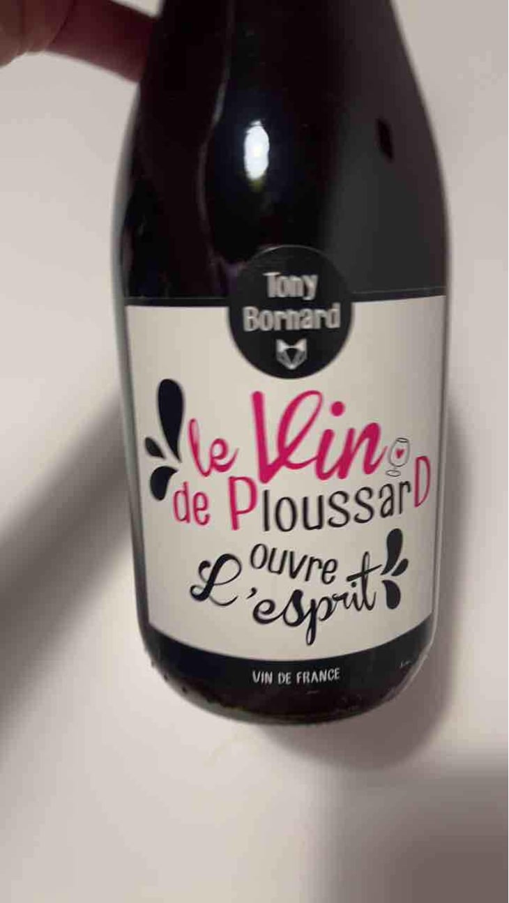 Le Vin de PloussarD ouvre L'esprit - Domaine Bornard - Tony Bornard 