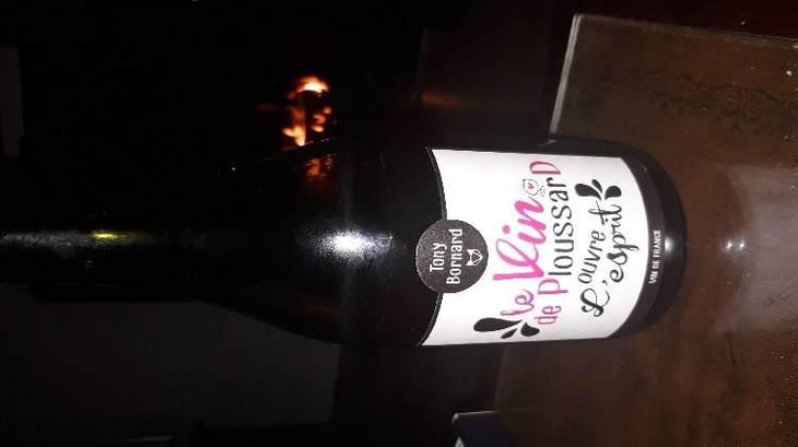 Le Vin de PloussarD ouvre L'esprit - Domaine Bornard - Tony Bornard 