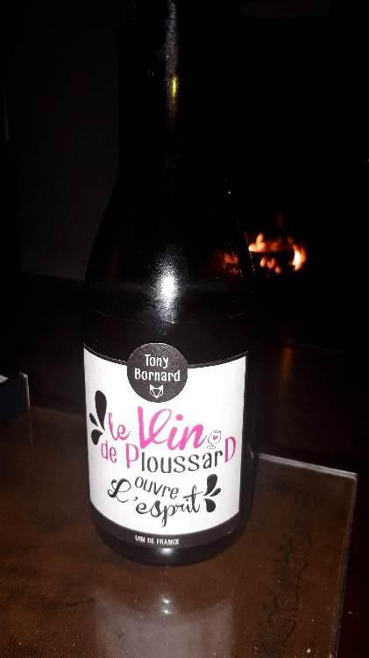 Le Vin de PloussarD ouvre L'esprit - Domaine Bornard - Tony Bornard 