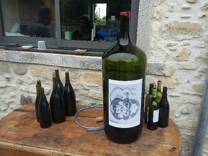 Le Vin des Amis - Mas Coutelou - Jean-François Coutelou 