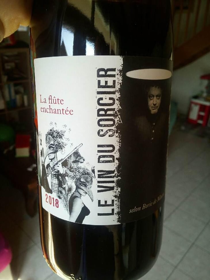 Le Vin Du Sorcier - Domaine Borie de Maurel - Michel Escande 