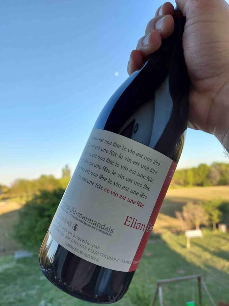Ce Vin Est Une Fête - Elian Da Ros - Sandrine et Elian Da Ros 