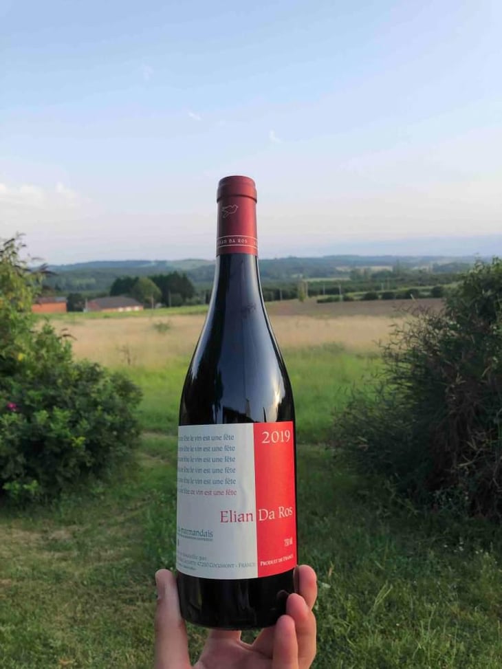 Ce Vin Est Une Fête - Elian Da Ros - Sandrine et Elian Da Ros 