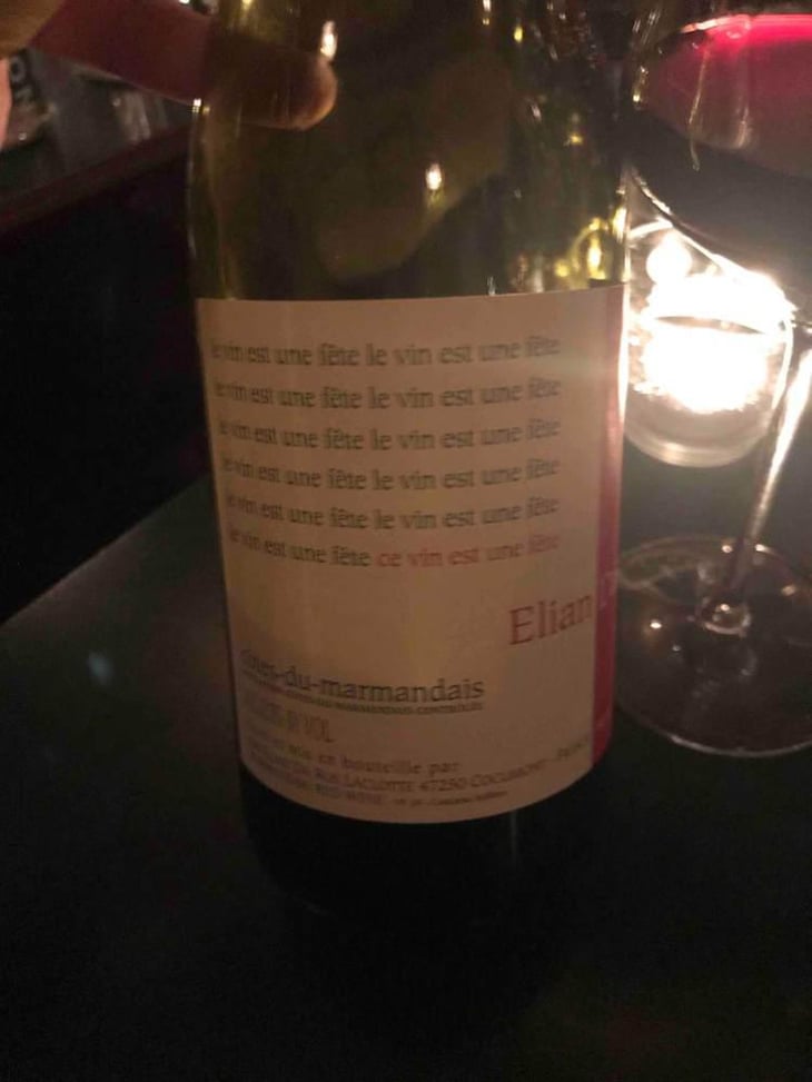 Ce Vin Est Une Fête - Elian Da Ros - Sandrine et Elian Da Ros 