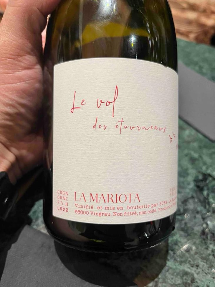 Le vol des étourneaux - La Mariota - Cecilia Diaz & Guillermo Campos Baeza -2021