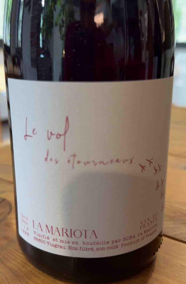 Le vol des étourneaux - La Mariota - Cecilia Diaz & Guillermo Campos Baeza -2021