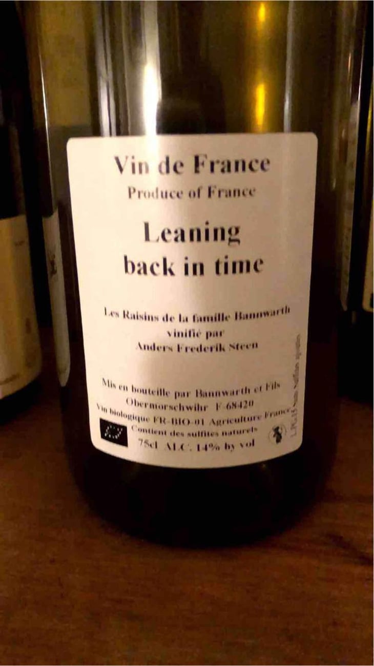 Leaning back in time (X Laurent Bannwarth) - Anders Frederik Steen & Anne Bruun Blauert - Anders Frederik Steen & Anne Bruun Blauert 