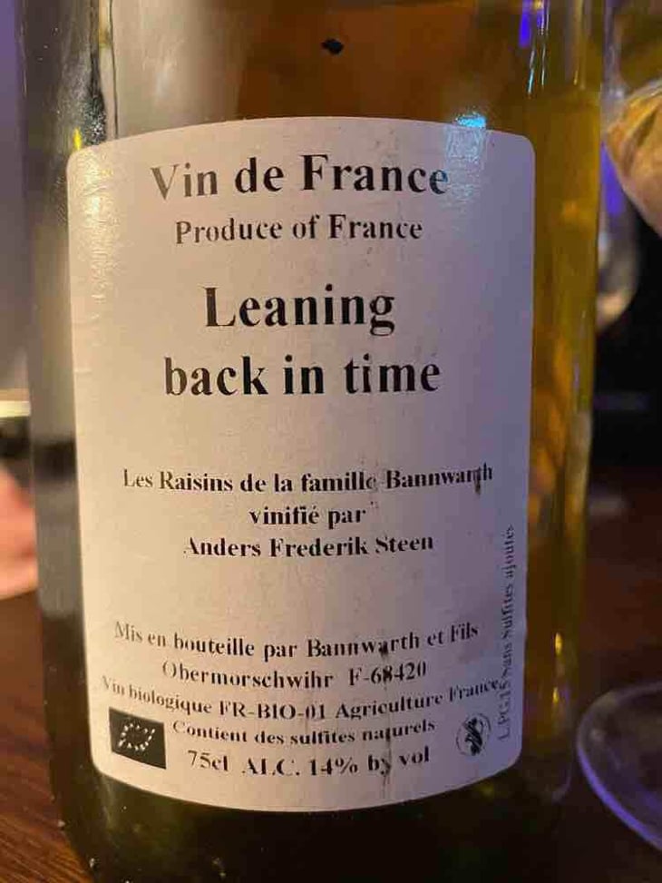 Leaning back in time (X Laurent Bannwarth) - Anders Frederik Steen & Anne Bruun Blauert - Anders Frederik Steen & Anne Bruun Blauert 