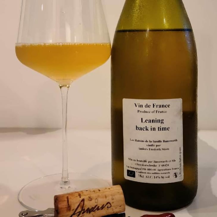 Leaning back in time (X Laurent Bannwarth) - Anders Frederik Steen & Anne Bruun Blauert - Anders Frederik Steen & Anne Bruun Blauert 
