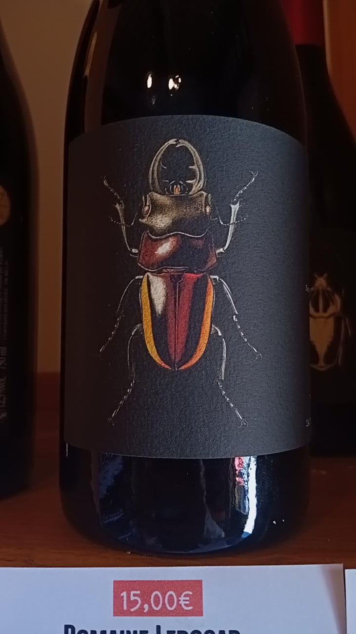 Ledogar - Domaine Ledogar - Xavier, Mathieu & Benoît Ledogar 