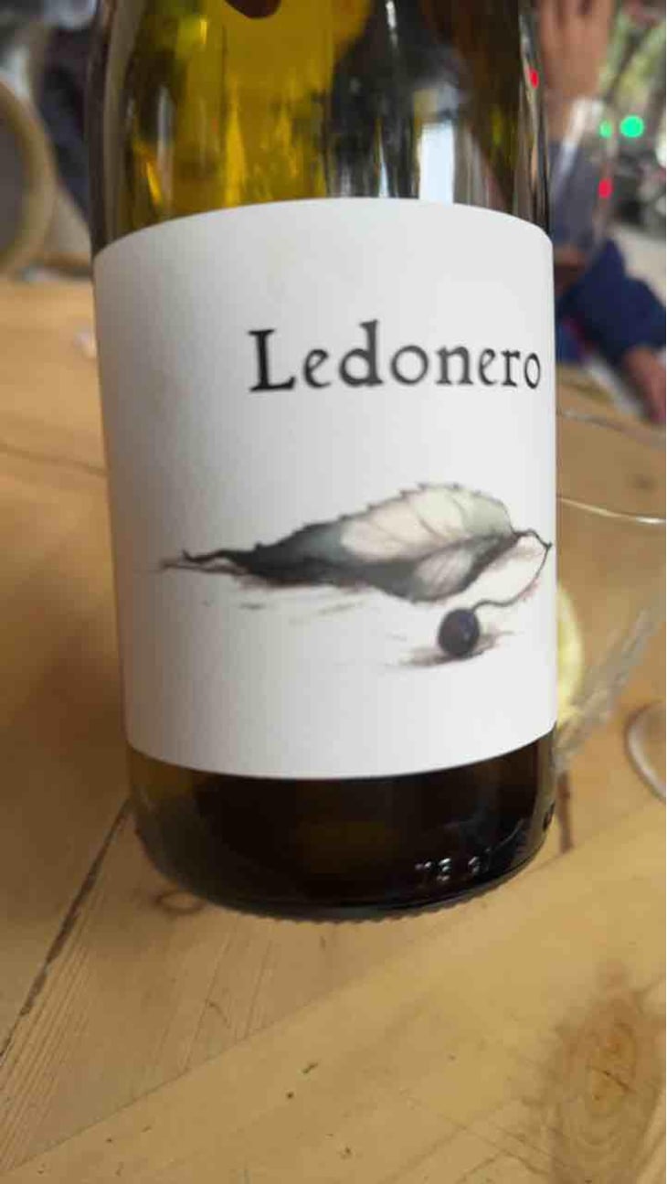 Ledonero - Barranco Oscuro - Manuel & Lorenzo Valenzuela 